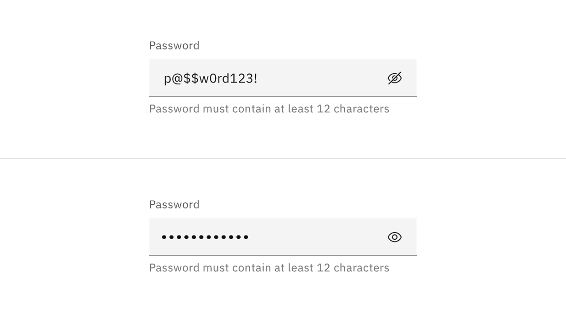 Example of a password input